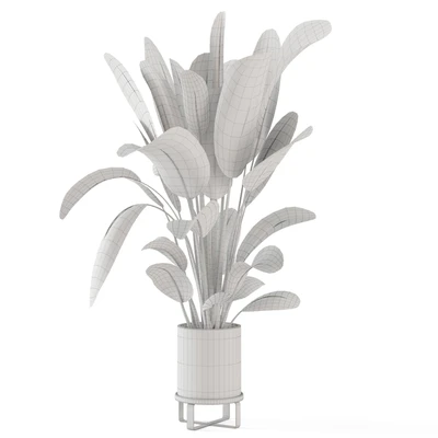 Indoor Plants in Ferm Living Bau Pot Large - Set 378 — Ver 4