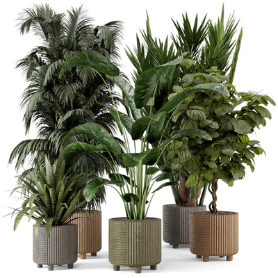 Indoor Planters in Cecilia Ficonstone Pot - Set 349 — Вид 1