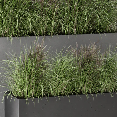 Outdoor Plants Bush in rusty Concrete Pot - Set 565 — Ver 5
