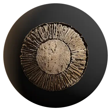 stone round cut design 001 — Descargar