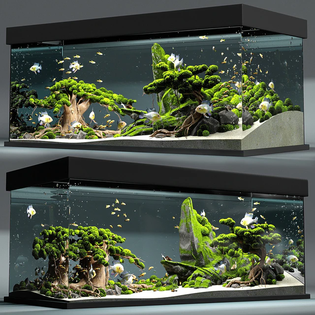 Aquarium snail king — Descargar