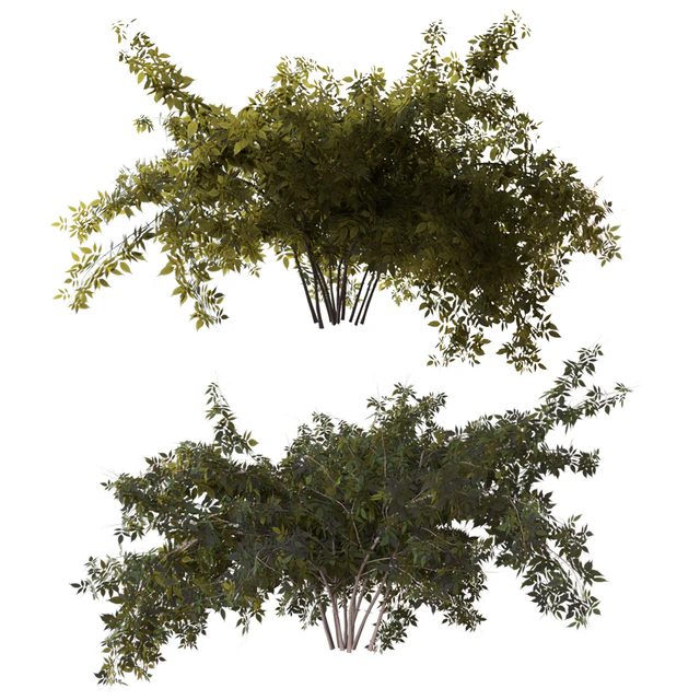 Bush — Descargar