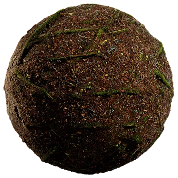 nordic forest ground root moss coarse 001 — Скачать