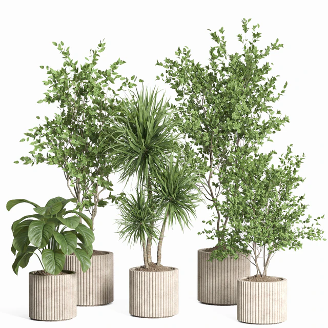 indoor plant set 59-Concrete pot — Descargar