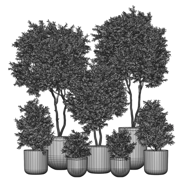 Indoor Plant 2 — Descargar