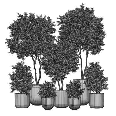 Indoor Plant 2 — Ver 3