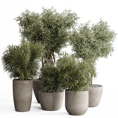 indoor Plant Set 417 - Tree and Bush — Ver 1