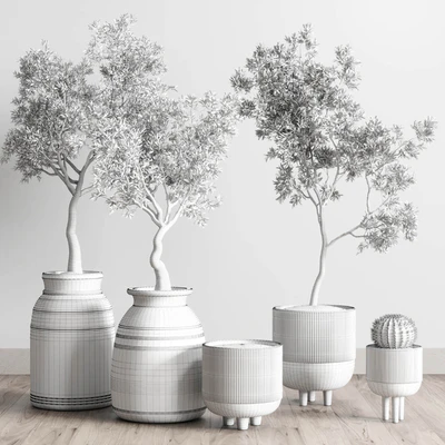 collection indoor outdoor plant 114 vase concrete wood old pot tree cactus — Вид 4