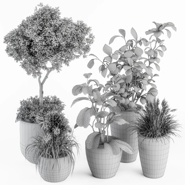 indoor Plant Set 264 - Plant Set in pot — Скачать