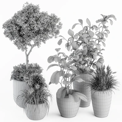 indoor Plant Set 264 - Plant Set in pot — Вид 4
