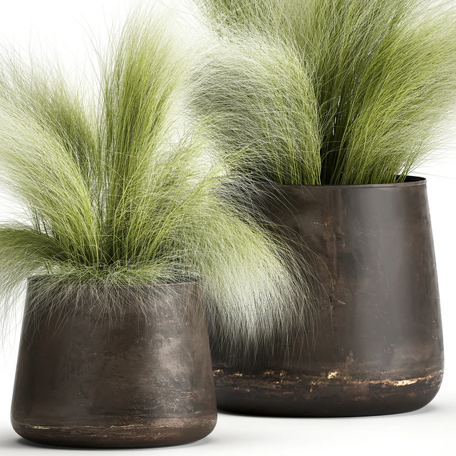 Collection of plants of fluffy bushes in outdoor pots Grass grass, hummock. Set 908. — Descargar