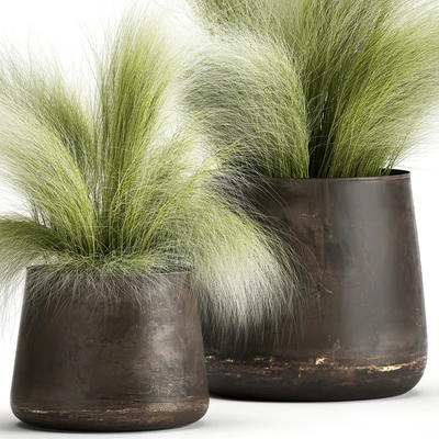 Collection of plants of fluffy bushes in outdoor pots Grass grass, hummock. Set 908. — Ver 3
