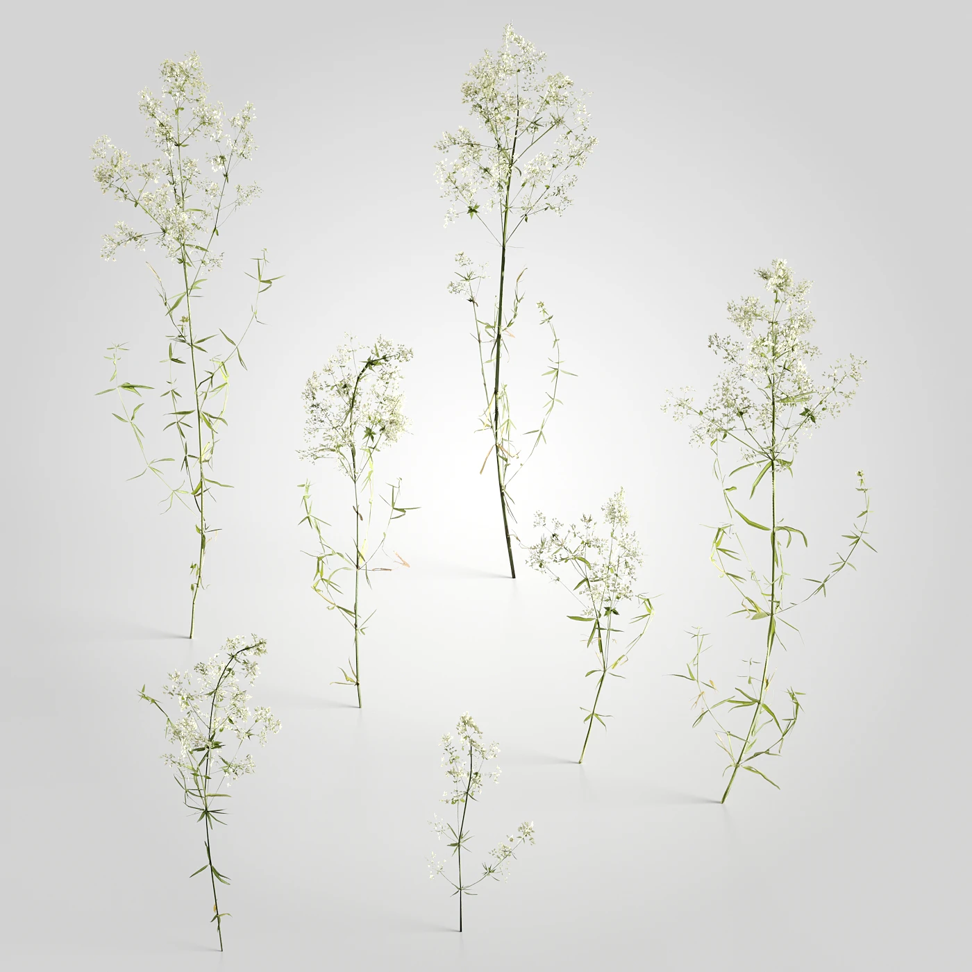 low poly plants 004 — Descargar