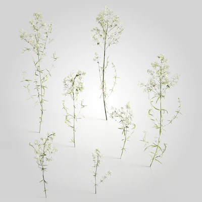 low poly plants 004 — Descargar