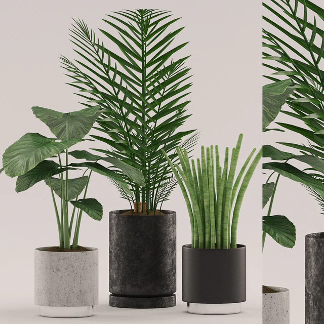 Plants 108 — Descargar