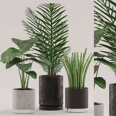 Plants 108 — Ver 1