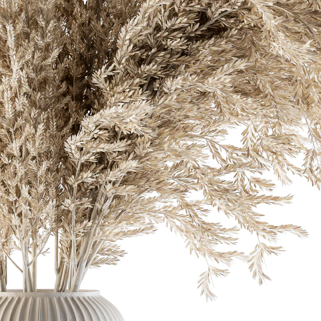 Dry plants 36 - Dried Plant Pampas — Descargar