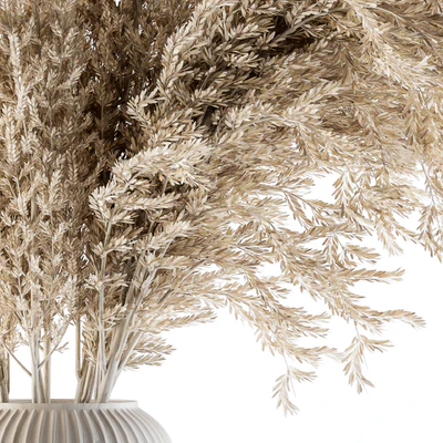 Dry plants 36 - Dried Plant Pampas — Ver 2