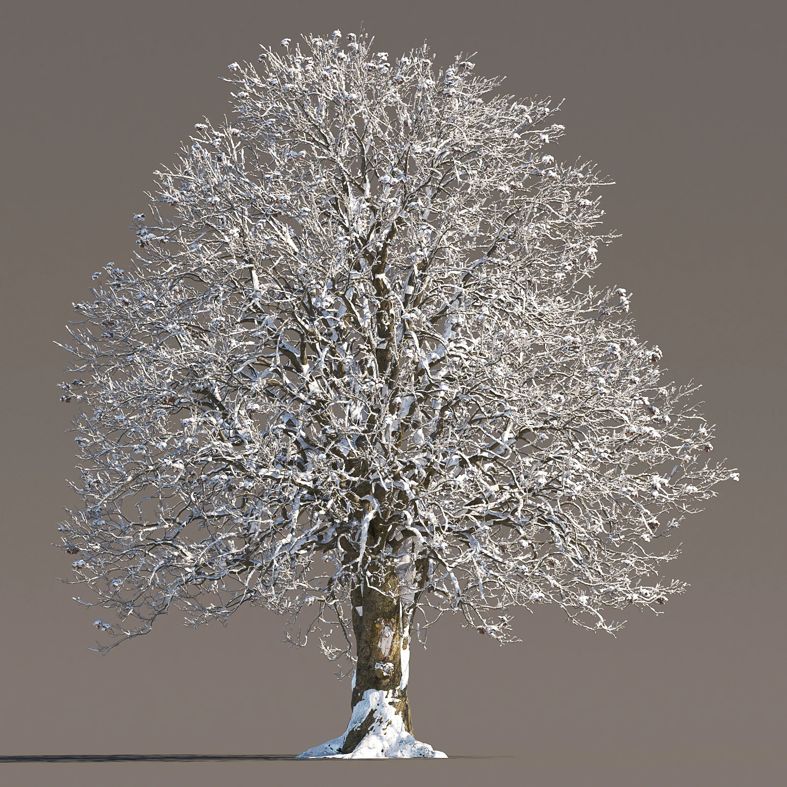 060 winter — Скачать