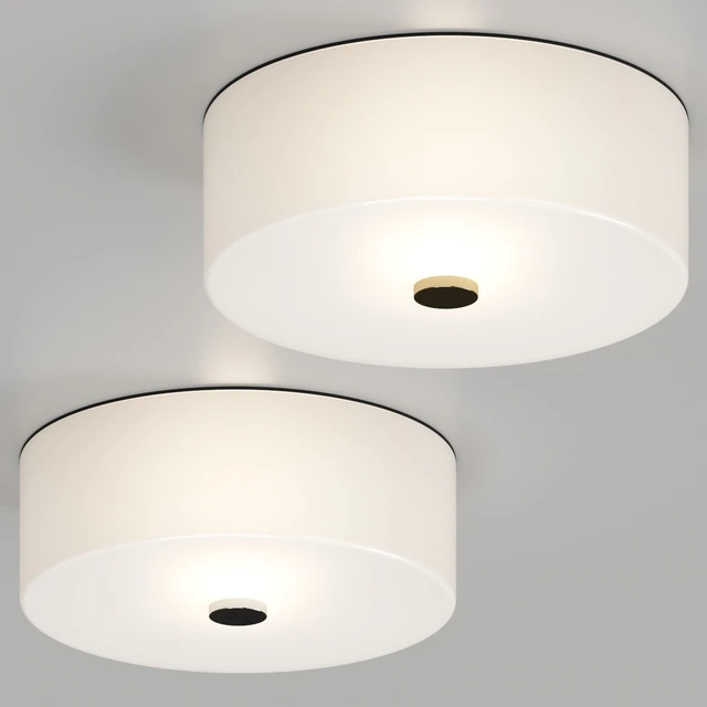 Lulu and Georgia Cher Flush Mount Light Ceiling Lamp — Descargar