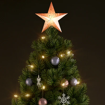 Plants collection 135 christmas tree — Ver 3