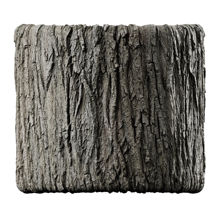 poplar 001 — Descargar