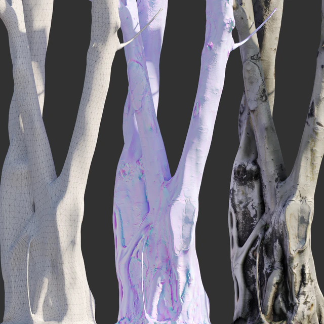 Ficus religiosa Tree Trunk — Скачать