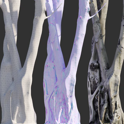 Ficus religiosa Tree Trunk — Вид 3