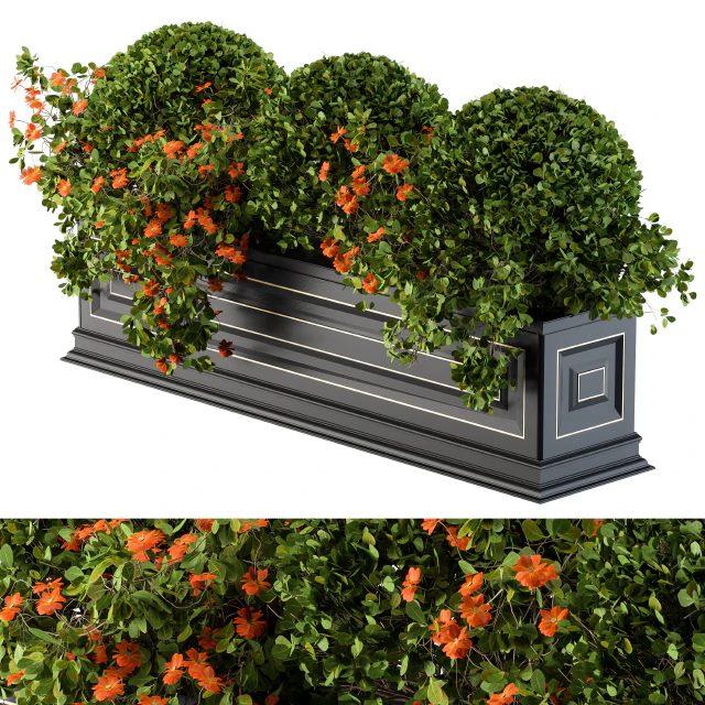 Planter Box For Windows Classic — Descargar