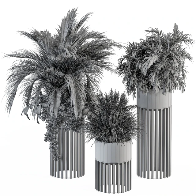 indoor Plant Set 301 - Plant Set in Round Stand Black pot — Скачать