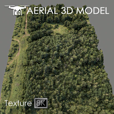 Forest 74 — Ver 1