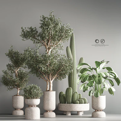 indoor plant set21 — Вид 2