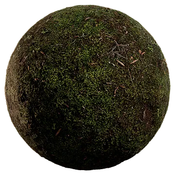 nordic forest ground moss coarse 001 — Descargar