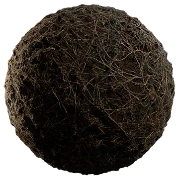 dried scarce grass 006 — Descargar