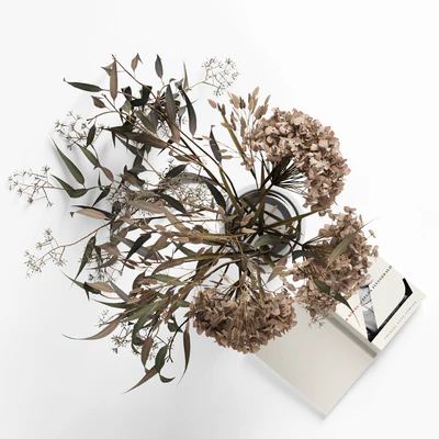 Dry bouquet and book — Вид 2