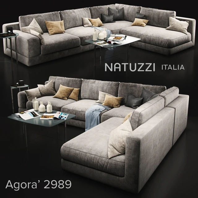 Sofa Natuzzi Agora2989 — Descargar