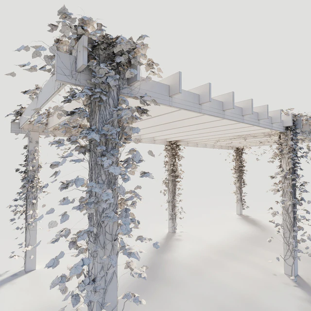 Pergola with ivy — Descargar