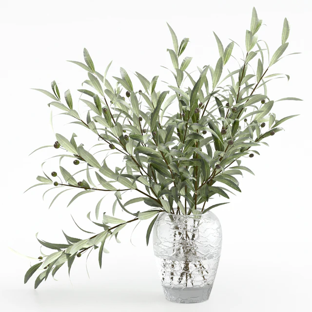 Olive branches in a vase — Descargar