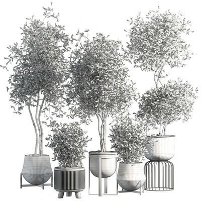 indoor plant 294 — Ver 3