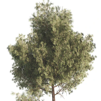 Outdoor Plant Set 06 — Ver 3