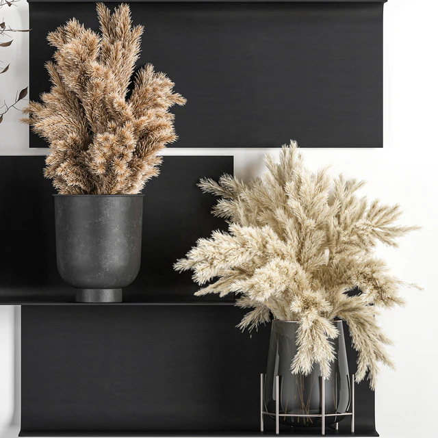 A set of bouquets of dried flowers in vases on a black metal shelf made of Pampas branches, reeds. 119 — Descargar