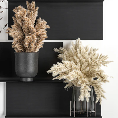 A set of bouquets of dried flowers in vases on a black metal shelf made of Pampas branches, reeds. 119 — Ver 4