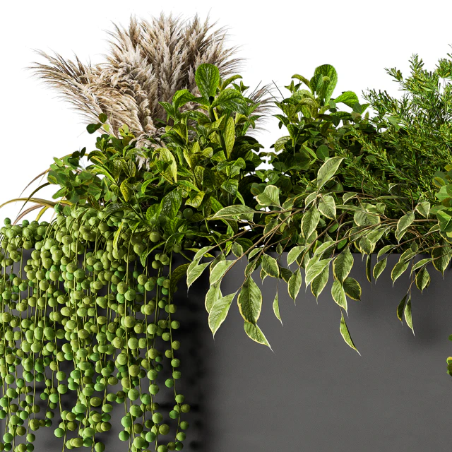 Plant Box on Wall 04 — Descargar