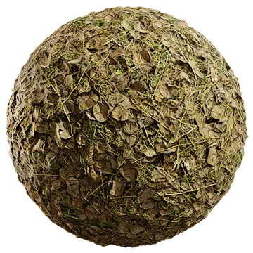 dried leaves 040 — Descargar