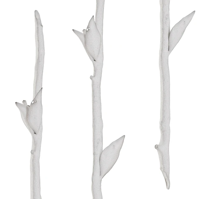 Wall lamp TWIG Vetvi store — Скачать