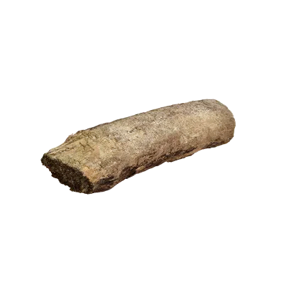beach wood debris 003 — Скачать