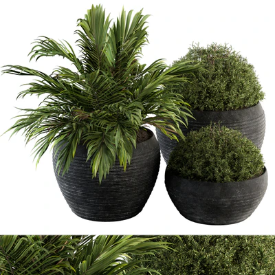 Outdoor Plants tree in Concrete Pot - Set 104 — Вид 1