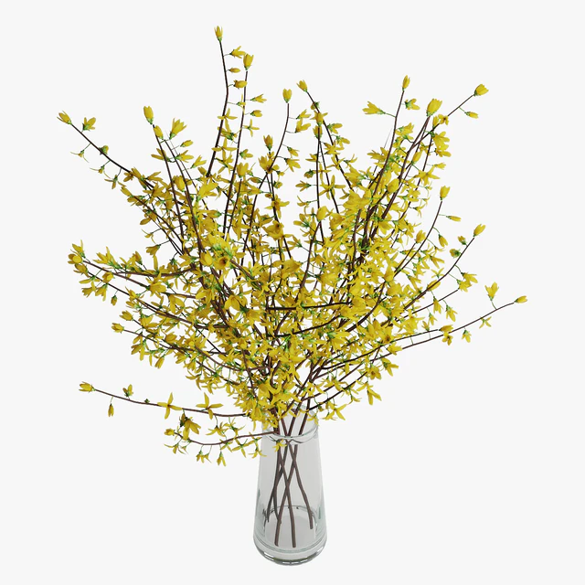 Forsythia 02 — Descargar