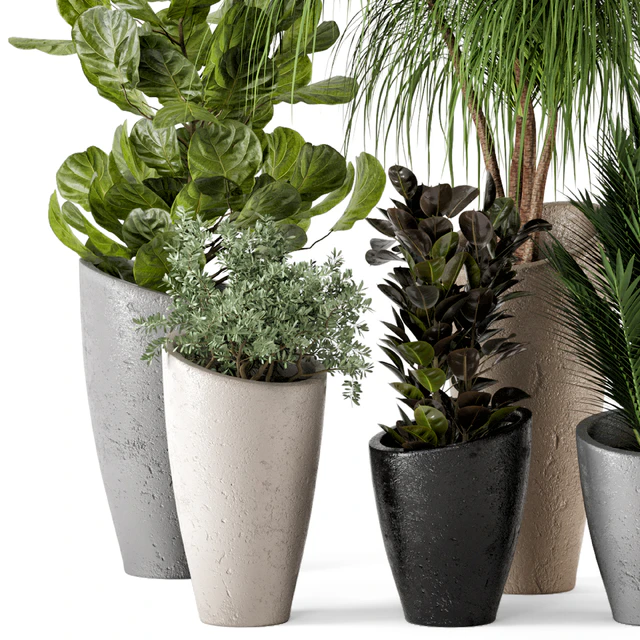 Indoor Plants in rusty Concrete Pot - Set 240 — Descargar