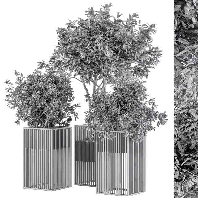 Outdoor Plant Set 276 - Plant Set in Metal Pot — Скачать